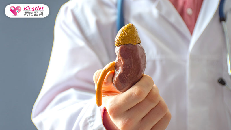 避免痛風腎衰竭