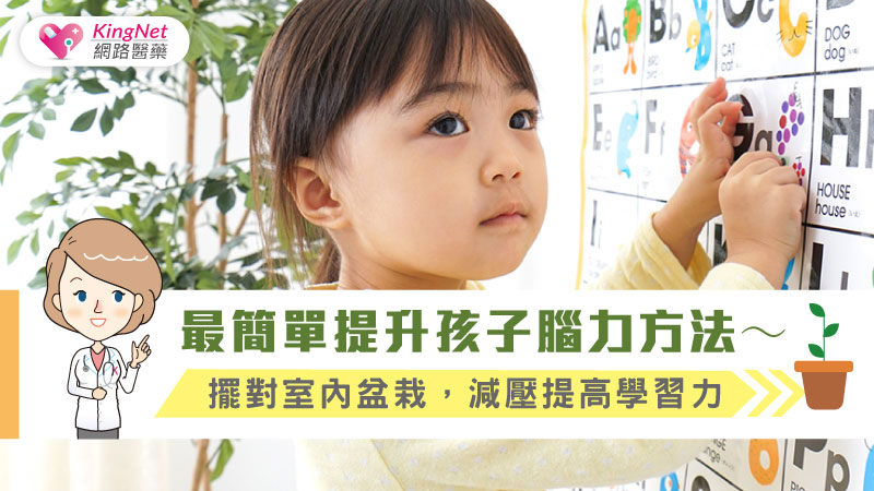 最簡單提升孩子腦力方法～擺對室內盆栽，減壓提高學習力_圖1