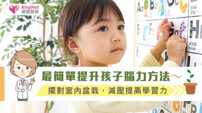 最簡單提升孩子腦力方法～擺對室內盆栽，減壓提高學習力