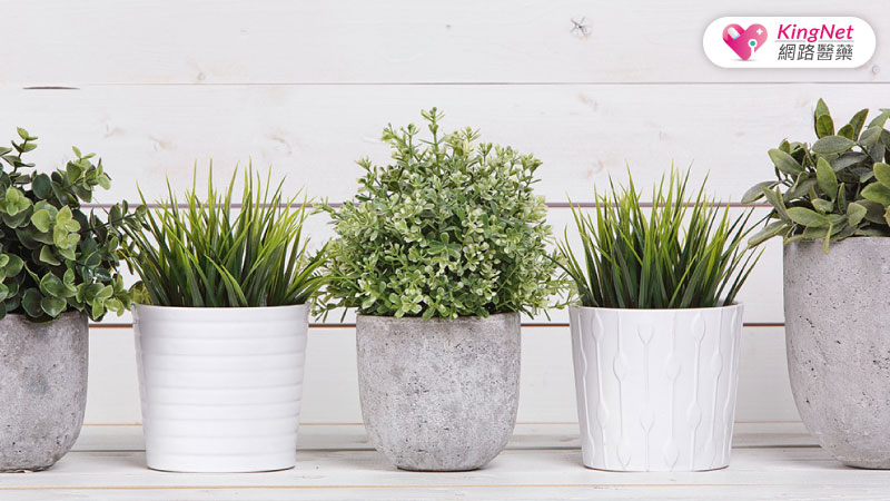 盆栽憂鬱症治療