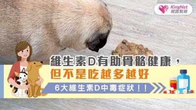 維生素D有助骨骼健康，但不是吃越多越好，6大維生素D中毒症狀！！