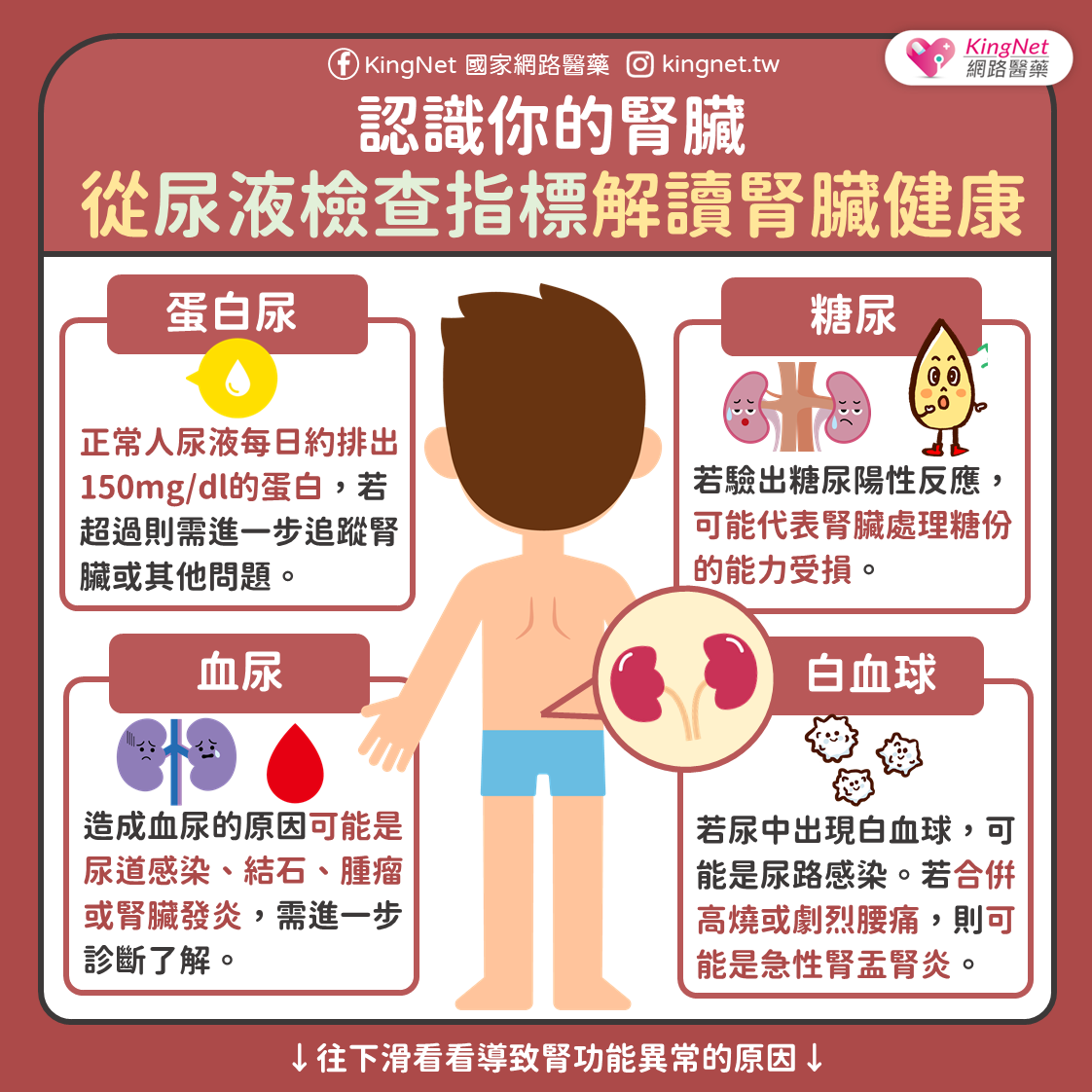 從尿液檢查看腎臟健康