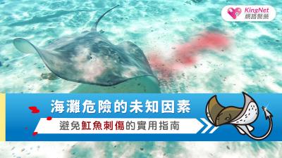 海灘危險的未知因素：避免魟魚刺傷的實用指南