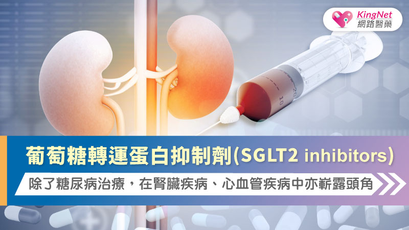 葡萄糖轉運蛋白抑制劑(SGLT2 inhibitors)：除了糖尿病治療，在腎臟疾病、心血管疾病中亦嶄露頭角_圖1