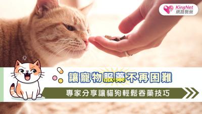 讓寵物服藥不再困難，專家分享讓貓狗輕鬆吞藥技巧