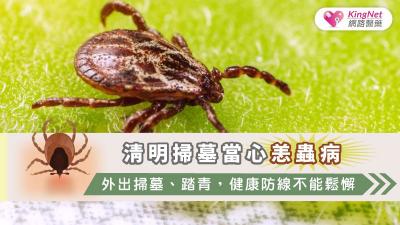 清明掃墓當心恙蟲病：外出掃墓、踏青，健康防線不能鬆懈
