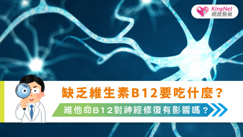 缺乏維生素B12要吃什麼？解析B12功效、補充方式與天然飲食清單全指南_圖1