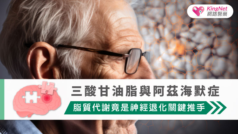 三酸甘油脂與阿茲海默症：脂質代謝竟是神經退化關鍵推手_圖1