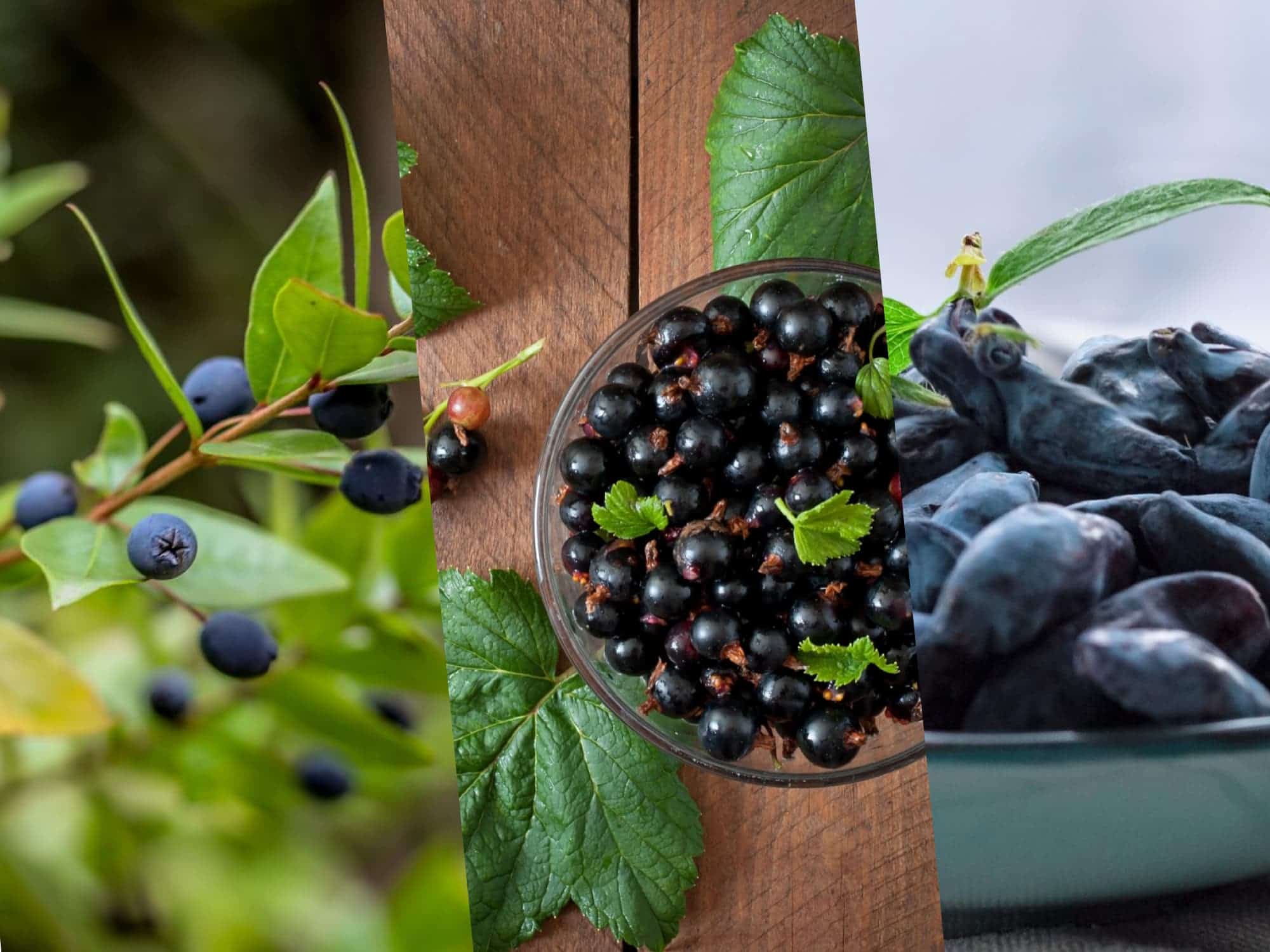 現代生活離不開3C，日常保養不可少的好選擇！_圖3