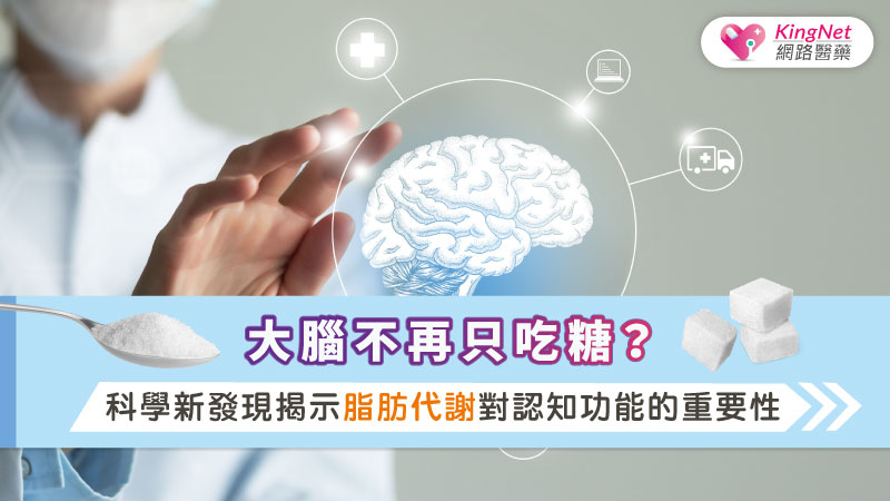大腦不再只吃糖？科學新發現揭示脂肪代謝對認知功能的重要性_圖1