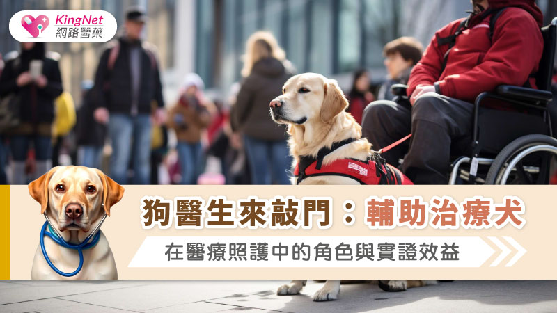 狗醫生來敲門：輔助治療犬在醫療照護中的角色與實證效益_圖1