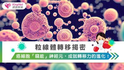 粒線體轉移揭密：癌細胞「竊能」神經元，成就轉移力的進化！