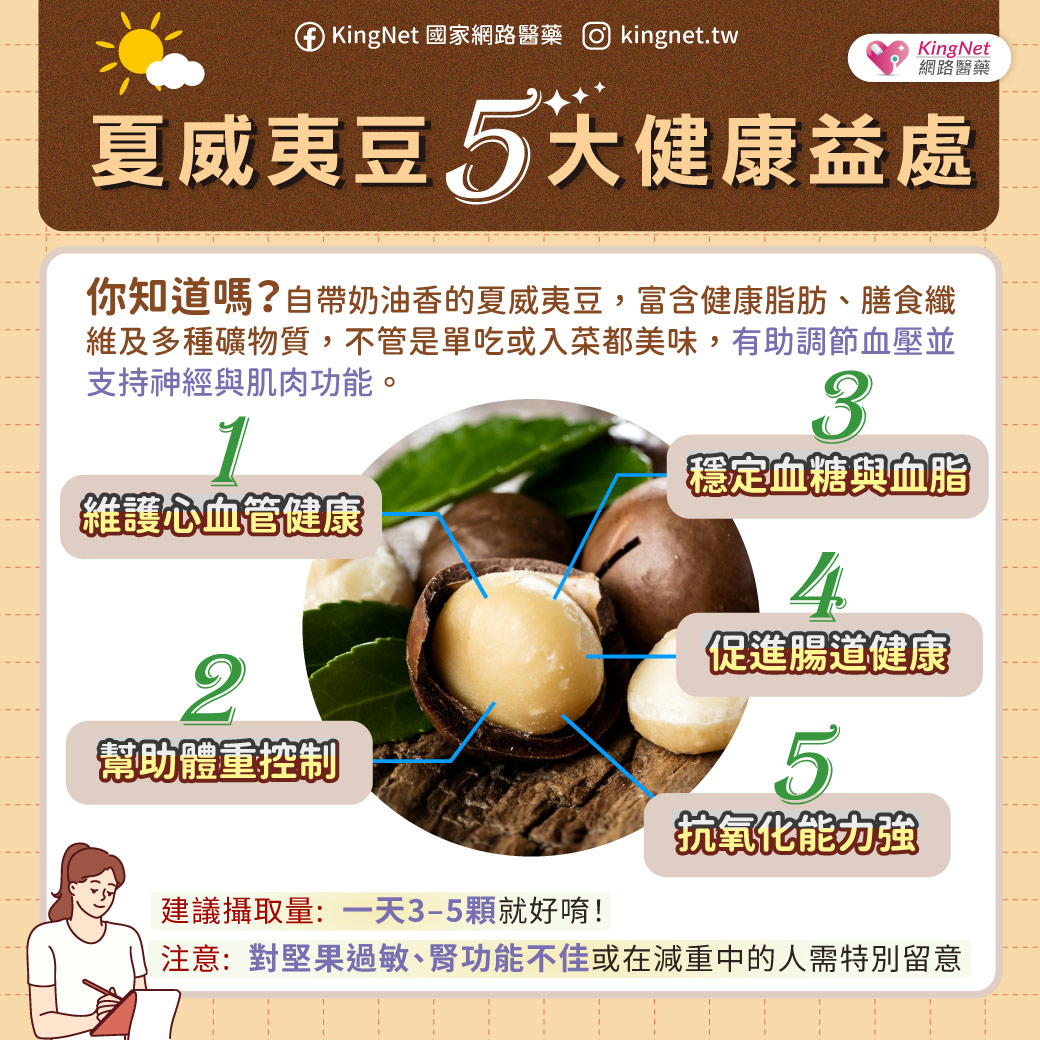 你也愛吃夏威夷豆嗎？這些好處一次看懂！_圖2