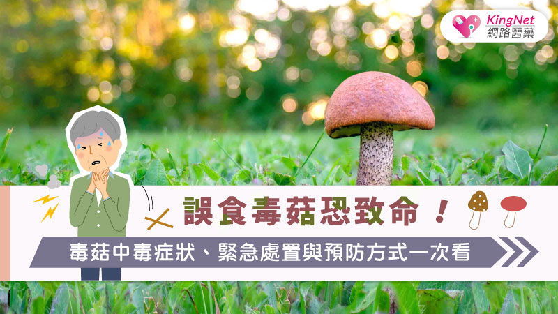 誤食毒菇恐致命！毒菇中毒症狀、緊急處置與預防方式一次看_圖1