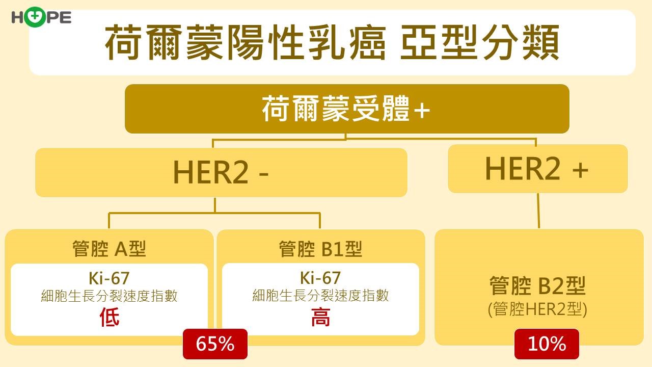 早期乳癌別怕！把握荷爾蒙陽性治療關鍵　CDK4/6抑制劑助降復發率3成_圖2