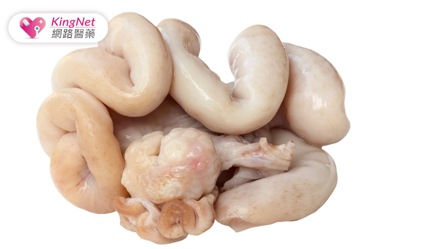 【雙氧水漂白豬腸風暴】工業級雙氧水的毒性與長期食用風險剖析