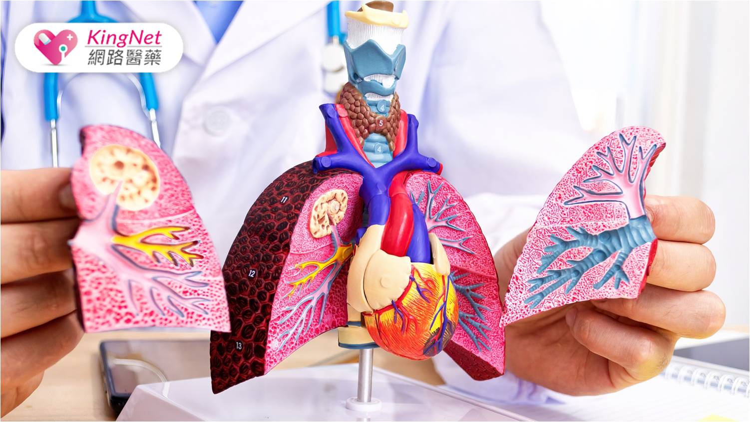 肺阻塞不只傷肺也傷心！　最新國際治療指引首度納入「心血管風險」_圖1