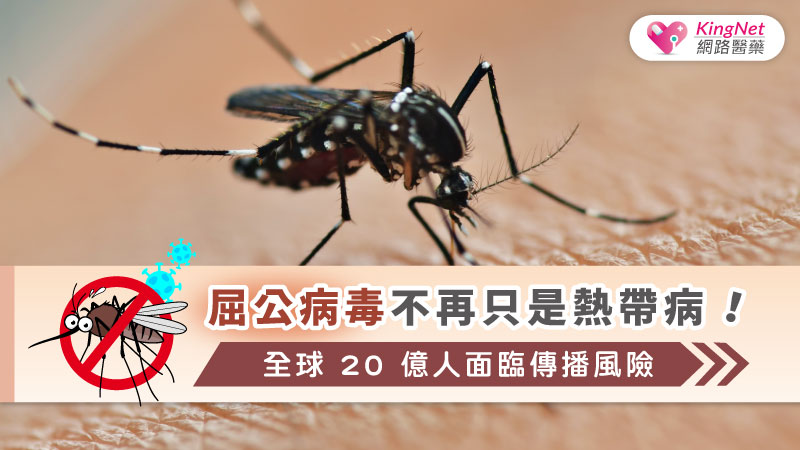 屈公病毒不再只是熱帶病！全球 20 億人面臨傳播風險