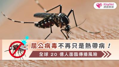 屈公病毒不再只是熱帶病！全球 20 億人面臨傳播風險