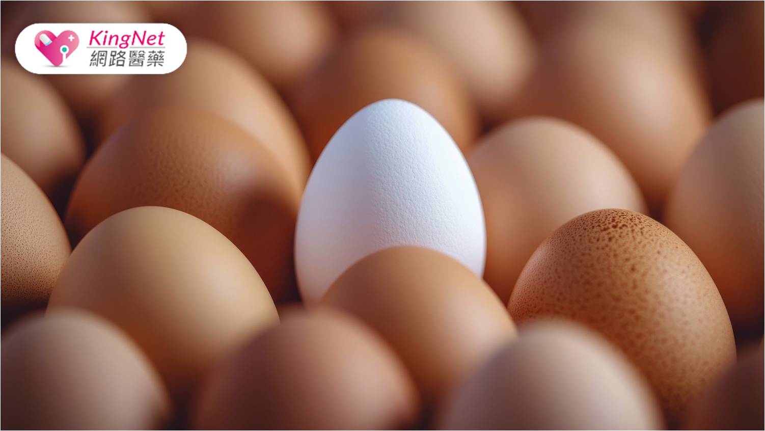 15萬顆「芬普尼」雞蛋流入！　芬普尼是什麼？已經吃下肚該怎麼辦？_圖1