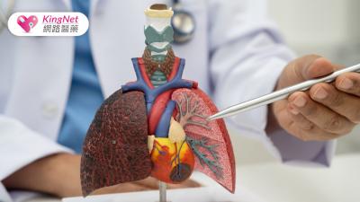 世界COPD 日：慢性阻塞性肺病的新治療進展──從氣管擴張到抗發炎生物製劑