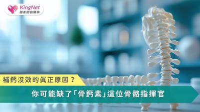 骨鈣素不只影響骨頭，更牽動肌力、代謝與整體健康，是現代人不可忽視的骨骼關鍵。