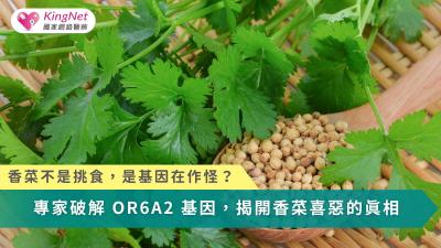 香菜引發的強烈喜惡差異，源自嗅覺基因、感官知覺與後天飲食經驗共同作用的結果。