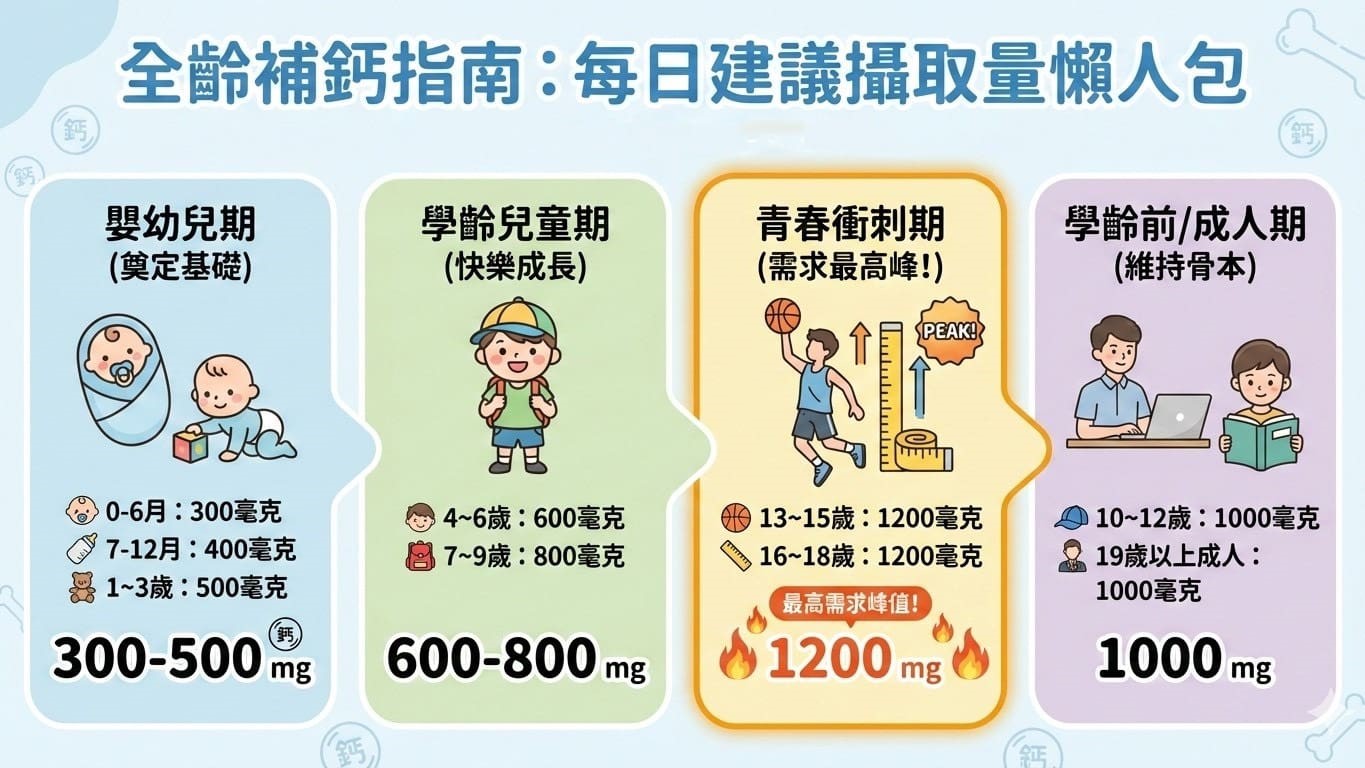 補鈣全攻略：鈣的功效、食物來源與正確補充方式一次掌握_圖2