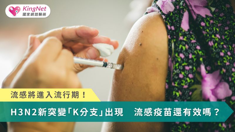 流感將進入流行期！H3N2新突變「K分支」出現　流感疫苗還有效嗎？_圖1