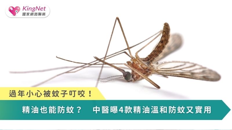過年小心被蚊子叮咬！精油也能防蚊？　中醫曝4精油溫和防蚊又實用_圖1