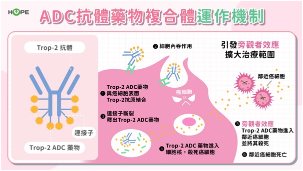 乳癌治療新曙光！認識新一代ADC藥物　有哪些治療優勢？有無健保給付？_圖4
