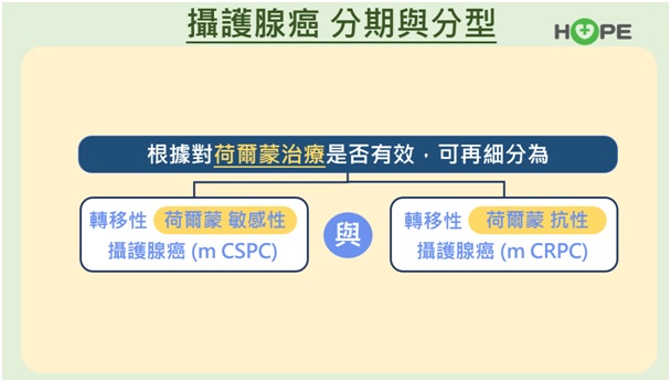 別把頻尿當老化！小心可能是攝護腺癌　3指標中2項即為惡化快速高風險群_圖7