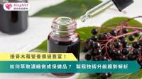 接骨木莓營養價值豐富！如何萃取濃縮做成保健品？　製程技術升級趨勢解析