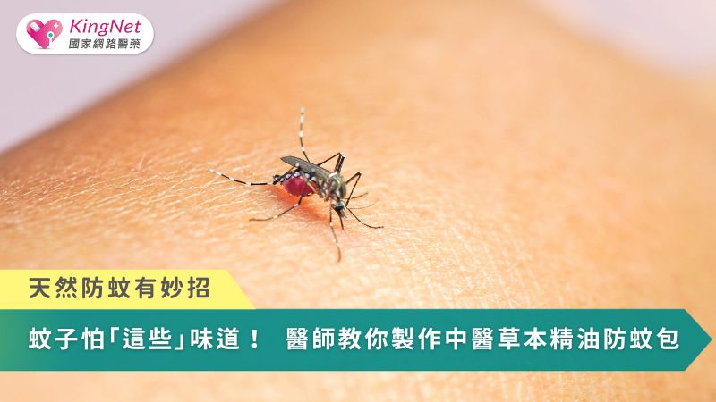 天然防蚊有妙招！蚊子怕「這些」味道　醫師教你製作中醫草本精油防蚊包_圖1