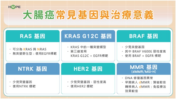 最棘手大腸癌「BRAF基因突變」有解了！　新組合療法腫瘤反應率突破60％_圖2