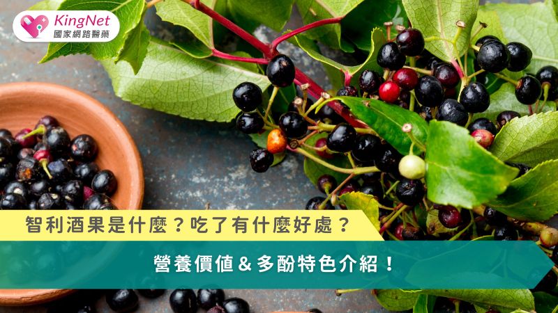 智利酒果是什麼？吃了有什麼好處？　營養價值＆多酚特色介紹！_圖1