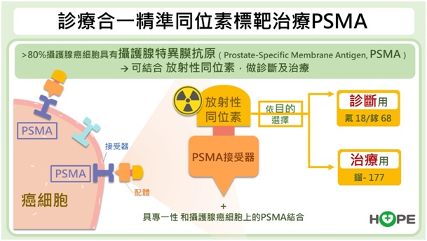 PSMA治療「先診斷、後治療」，鎵-68 或氟-18進入體內進行影像檢查，再注射真正具備殺傷力治療的鎦-177同位素治療。