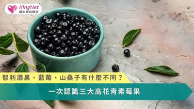 智利酒果、藍莓與山桑子各有不同的營養特色與研究優勢，沒有絕對最好，唯有依照自身需求與科學證據選擇，才能發揮最大的保健價值。