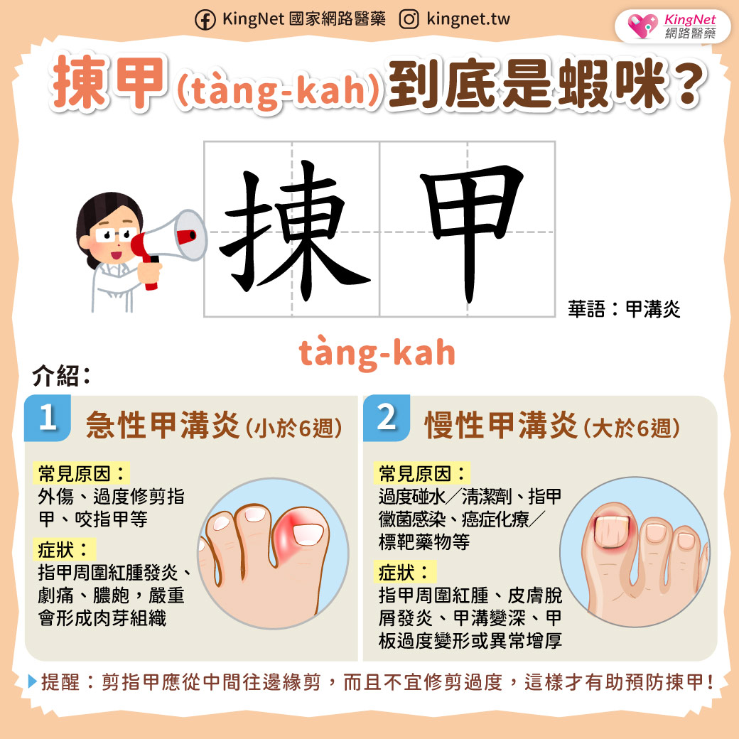 「健康台語小學堂－認識㨂甲（tàng-kah）是什麼？」健康懶人包