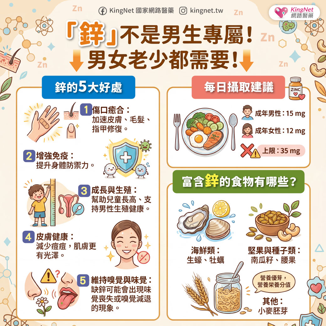 「「鋅」不是男生專屬！男女老少都需要！」健康懶人包