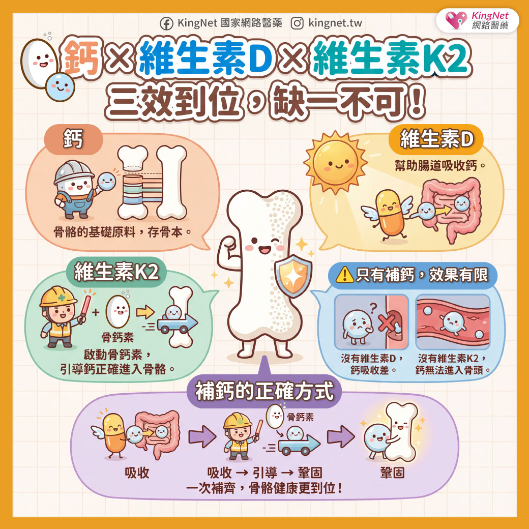 「鈣 × 維生素D × 維生素K2  三效到位，缺一不可！」健康懶人包