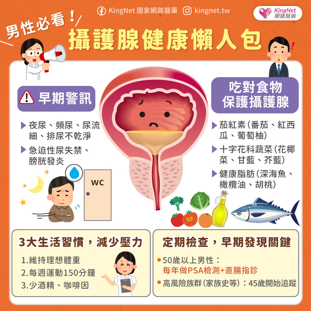 「男性必看！攝護腺健康懶人包」健康懶人包