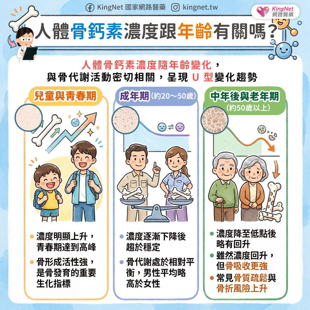 「人體骨鈣素濃度跟年齡有關嗎？」健康懶人包