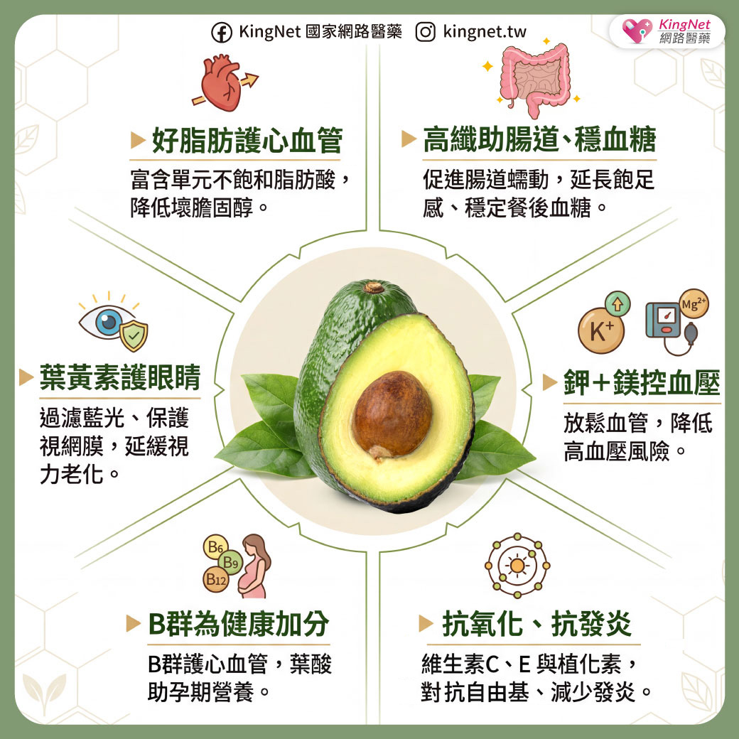 「酪梨的健康好處一次看」健康懶人包