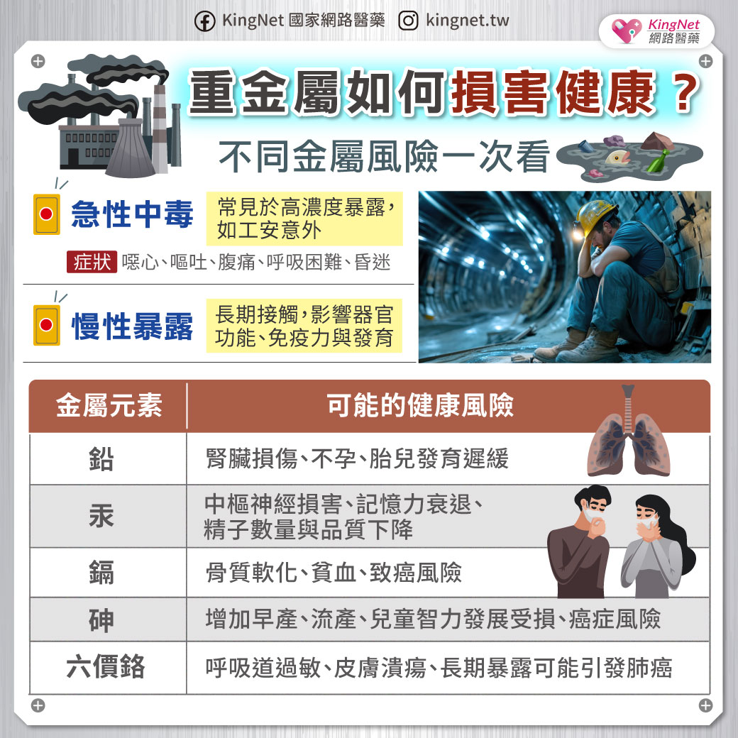 「重金屬如何損害健康？不同金屬風險一次看」健康懶人包