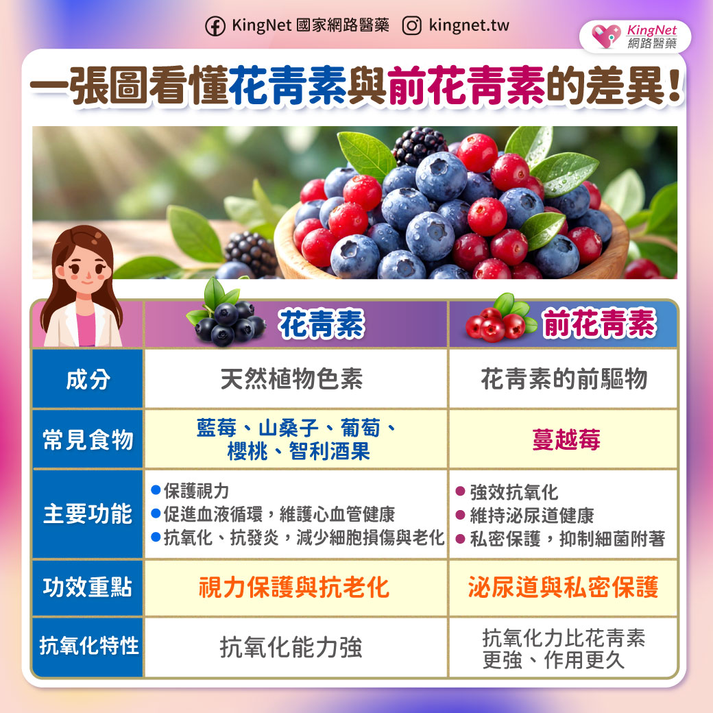 「認識花青素與前花青素」健康懶人包