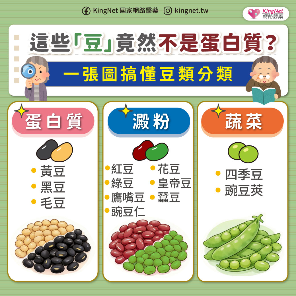 「這些「豆」竟然不是蛋白質？一張圖搞懂豆類分類」健康懶人包