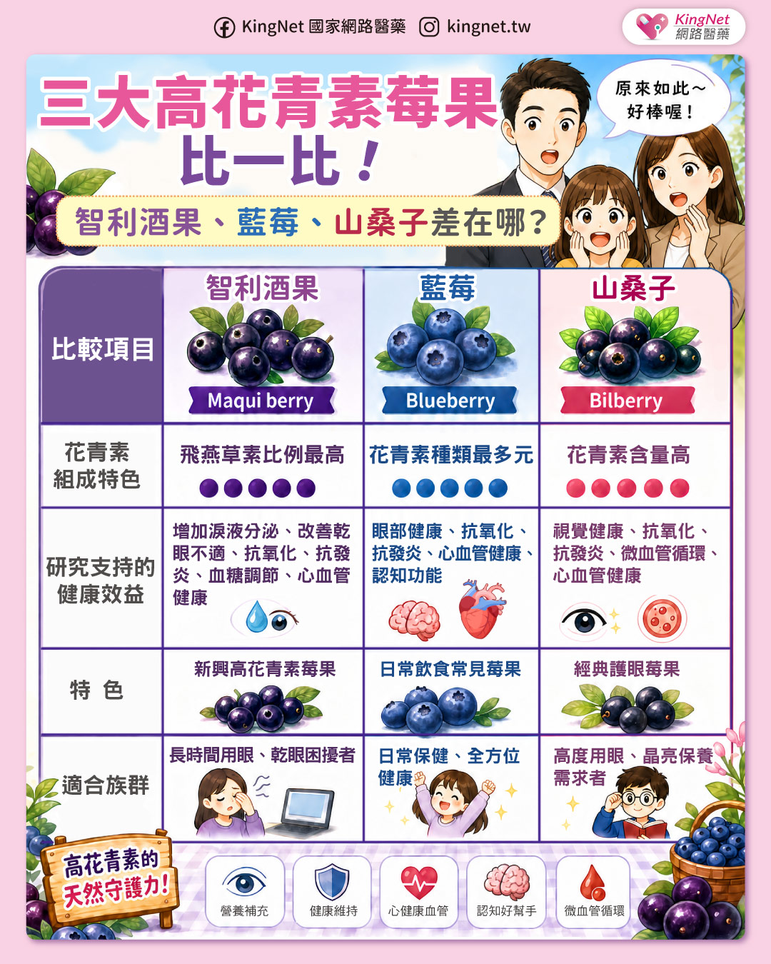 「三大高花青素莓果比一比！　智利酒果、藍莓、山桑子差在哪？」健康懶人包
